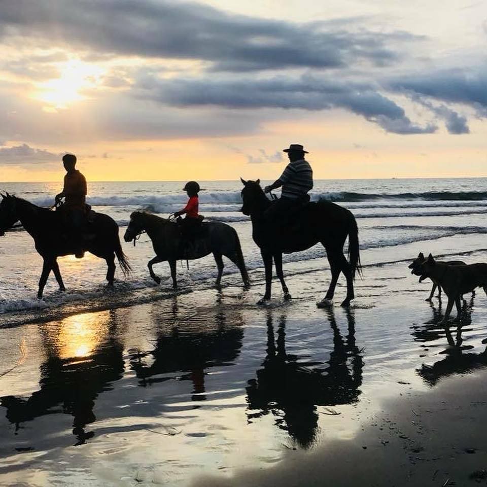 Taiwan Kenting York Horse Riding