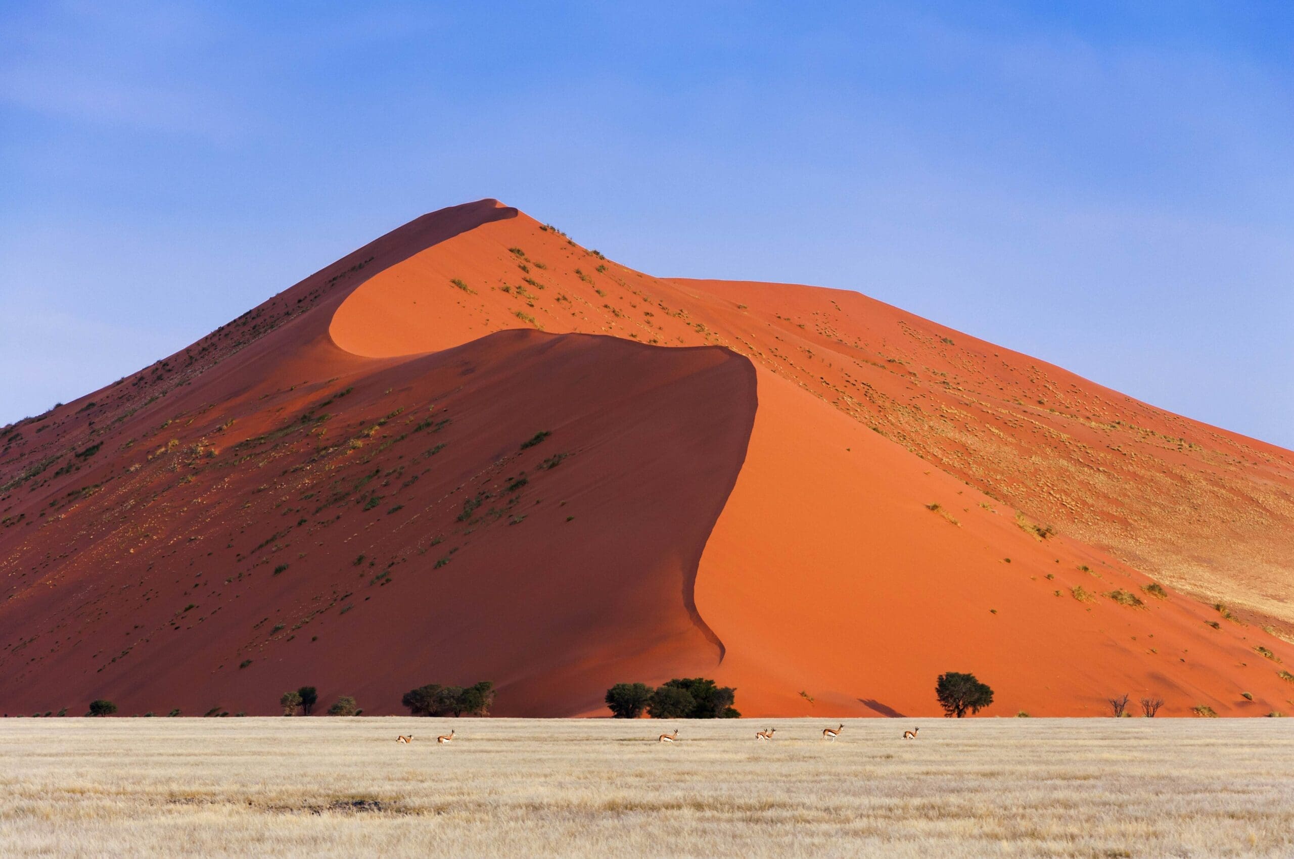 Sossusvlei