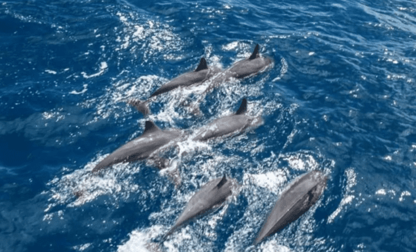 截圖 2025-10-21 上午11.47.47